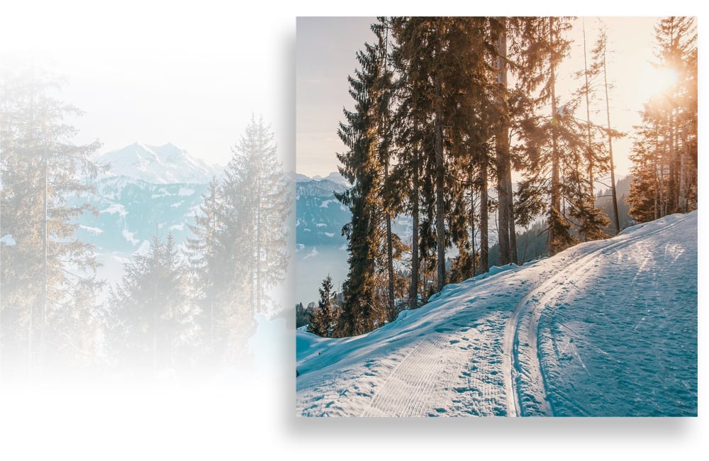 appartement-pla-dadet-montagne-pyrénées-hiver-ski-raquette-traineau-luge appartement-pla-dadet-montagne-pyrénées-hiver-ski-raquette-traineau-luge